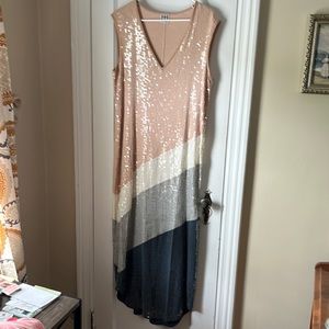 Haute Hippie Sequin Stretch Dress